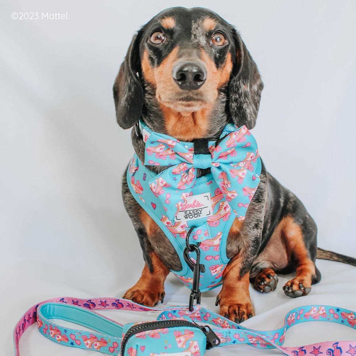 Barbie Dog Collar Sassy Woof - Healthber