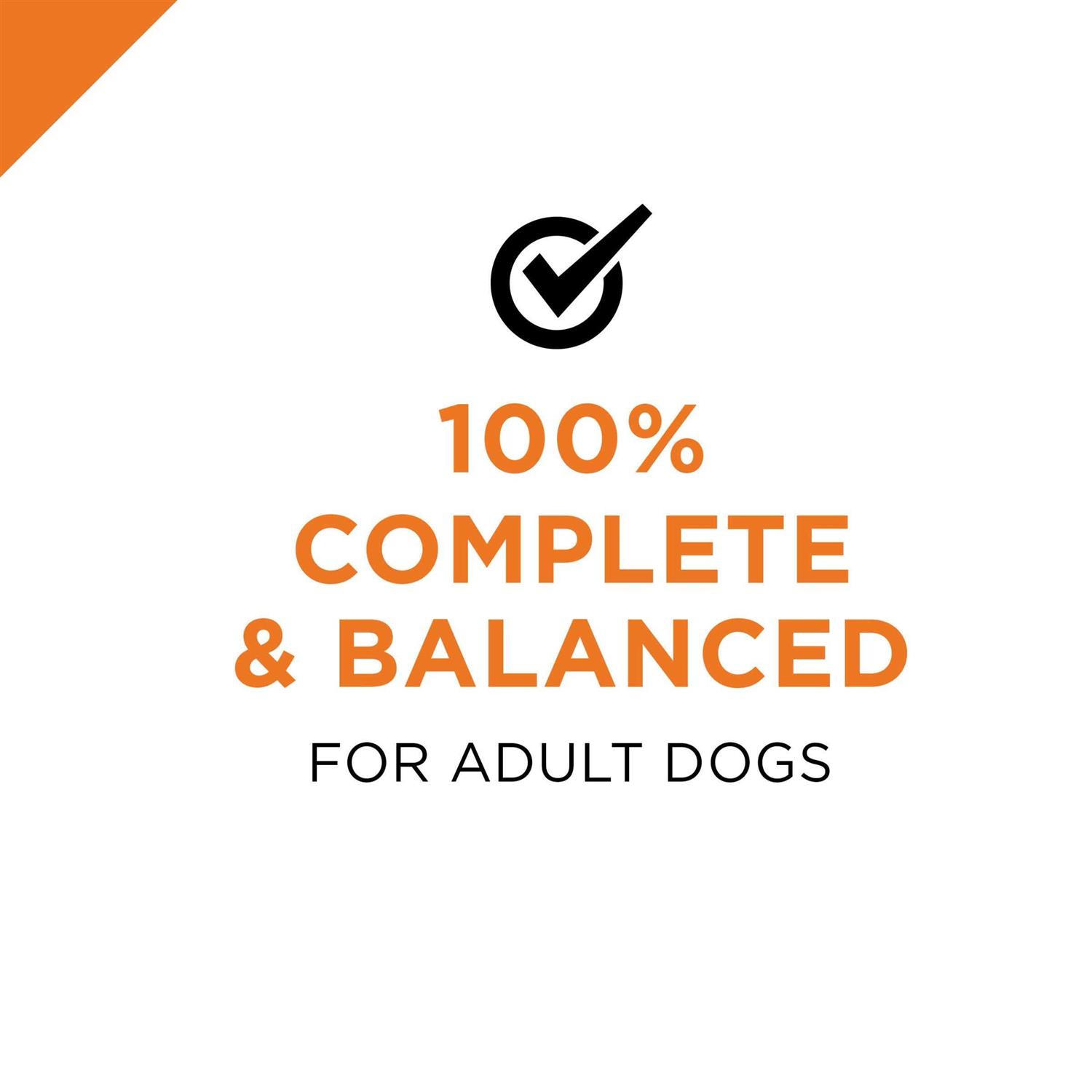 Purina Pro Plan Free Beef Entree Wet Dog Food - Healthber