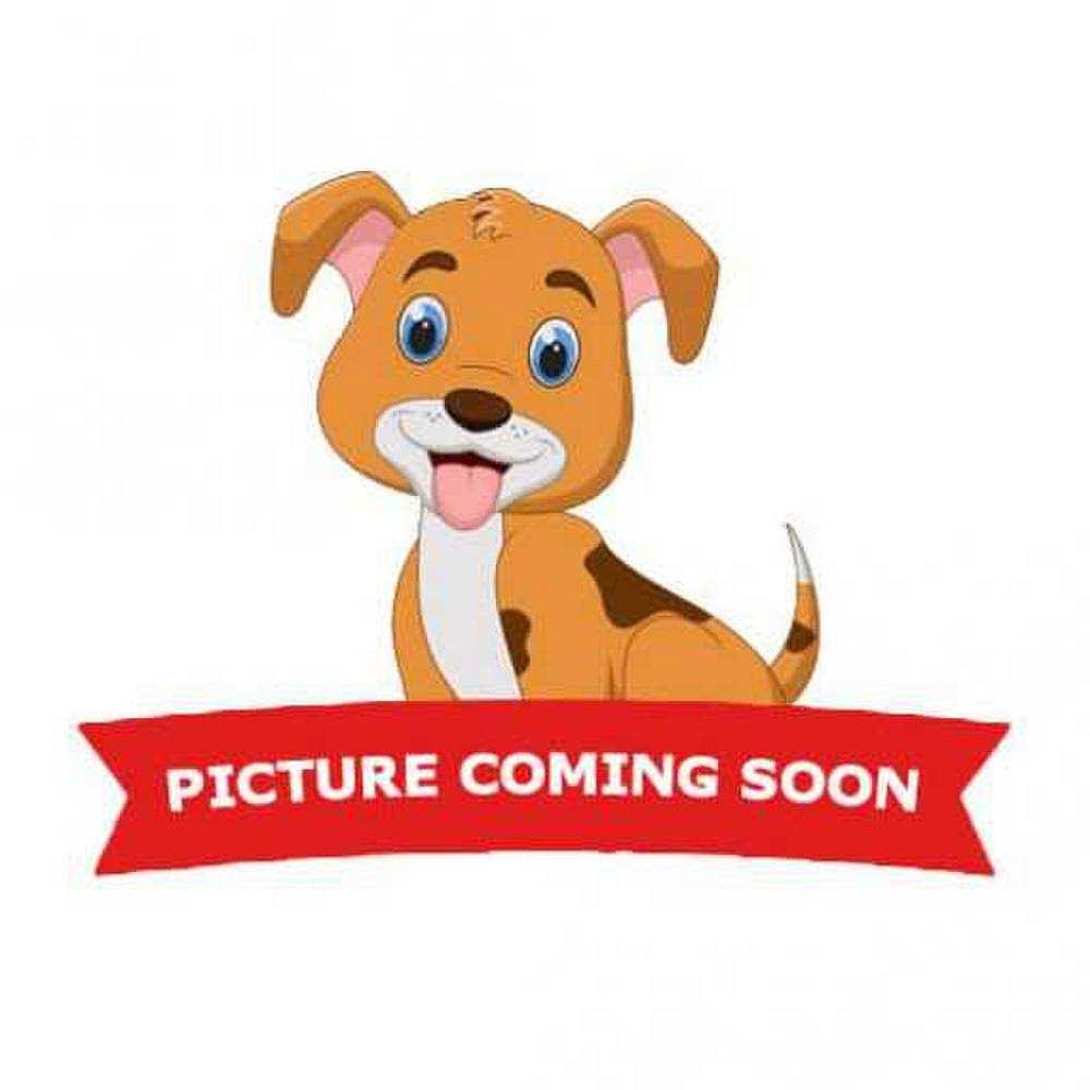 Prestige 15ft XXL Dog Tie-Out - Healthber