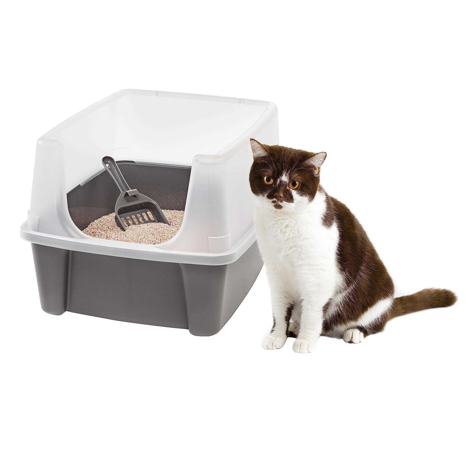 Iris USA Open Top Cat Litter Box with Shield and Scoop - Healthber