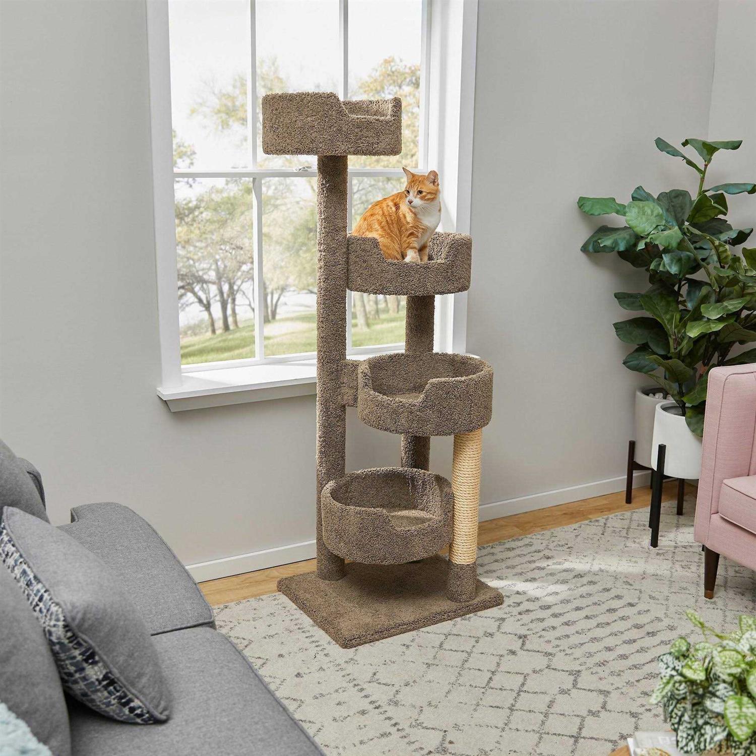 Frisco 65-in Real Carpet Wooden Cat Tree - Healthber