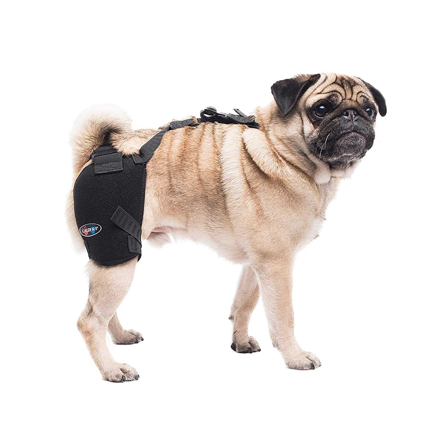 Caldera Hip Therapy Wrap with Gel Packs for Dogs - Healthber