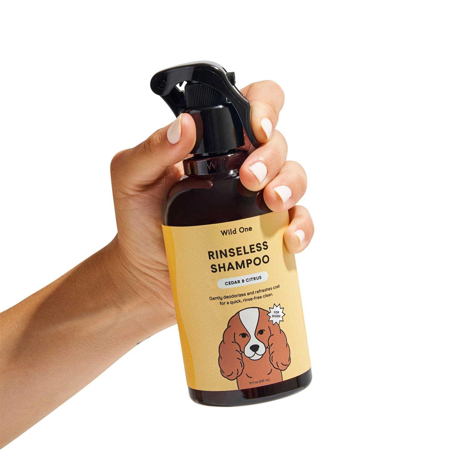 Wild One Rinseless Shampoo - Healthber