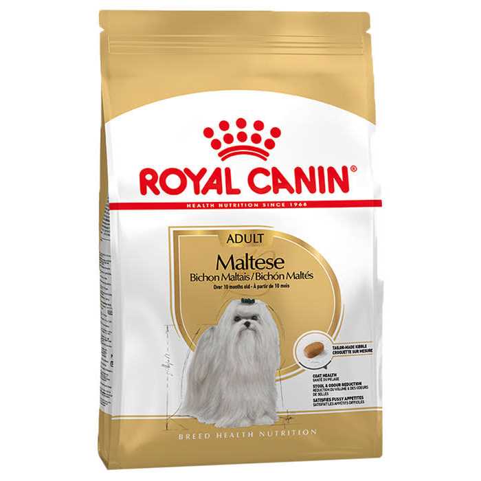 Royal Canin Breed Health Nutrition Adult Maltese Dry Dog Food - Healthber