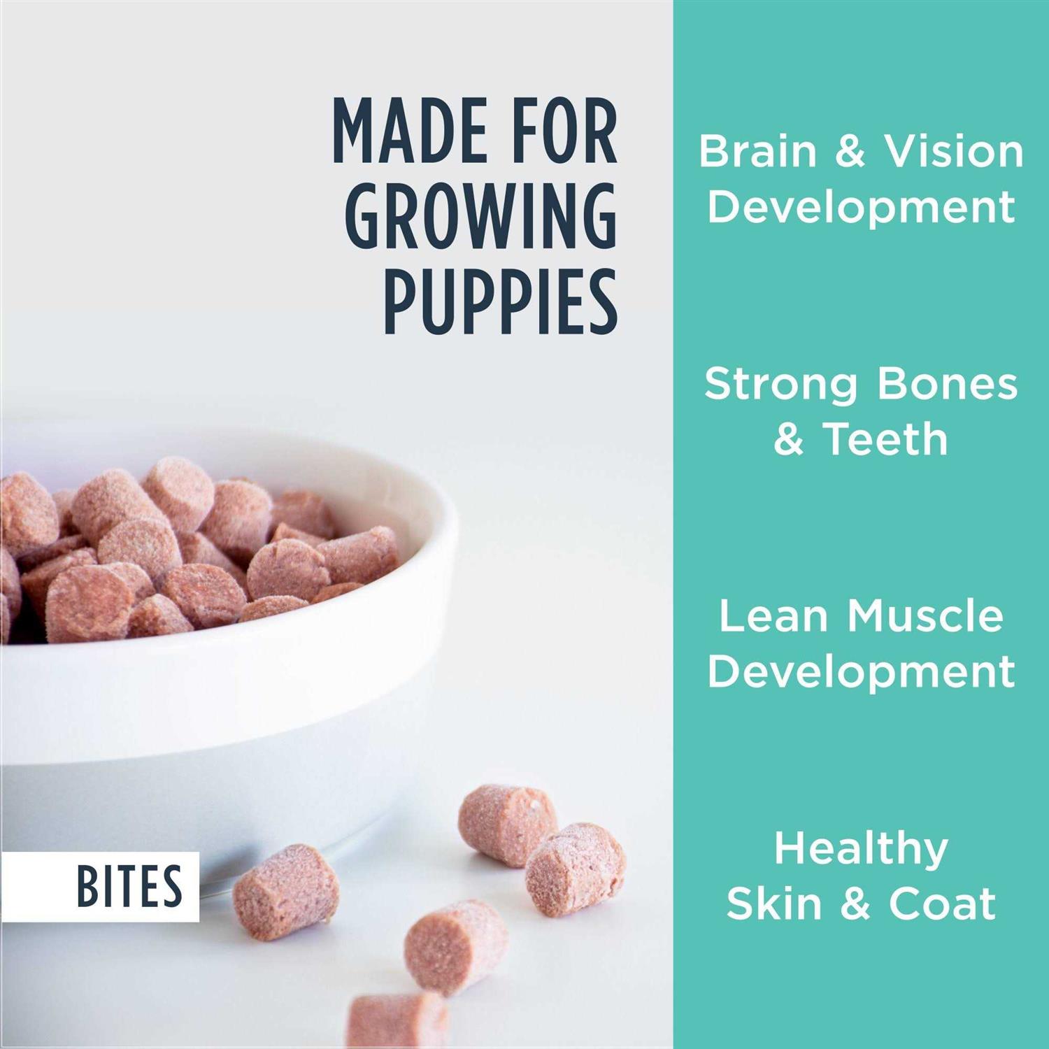 Instinct Raw Frozen Puppy Bites Cage-Free Chicken Recipe Dog Food - Healthber