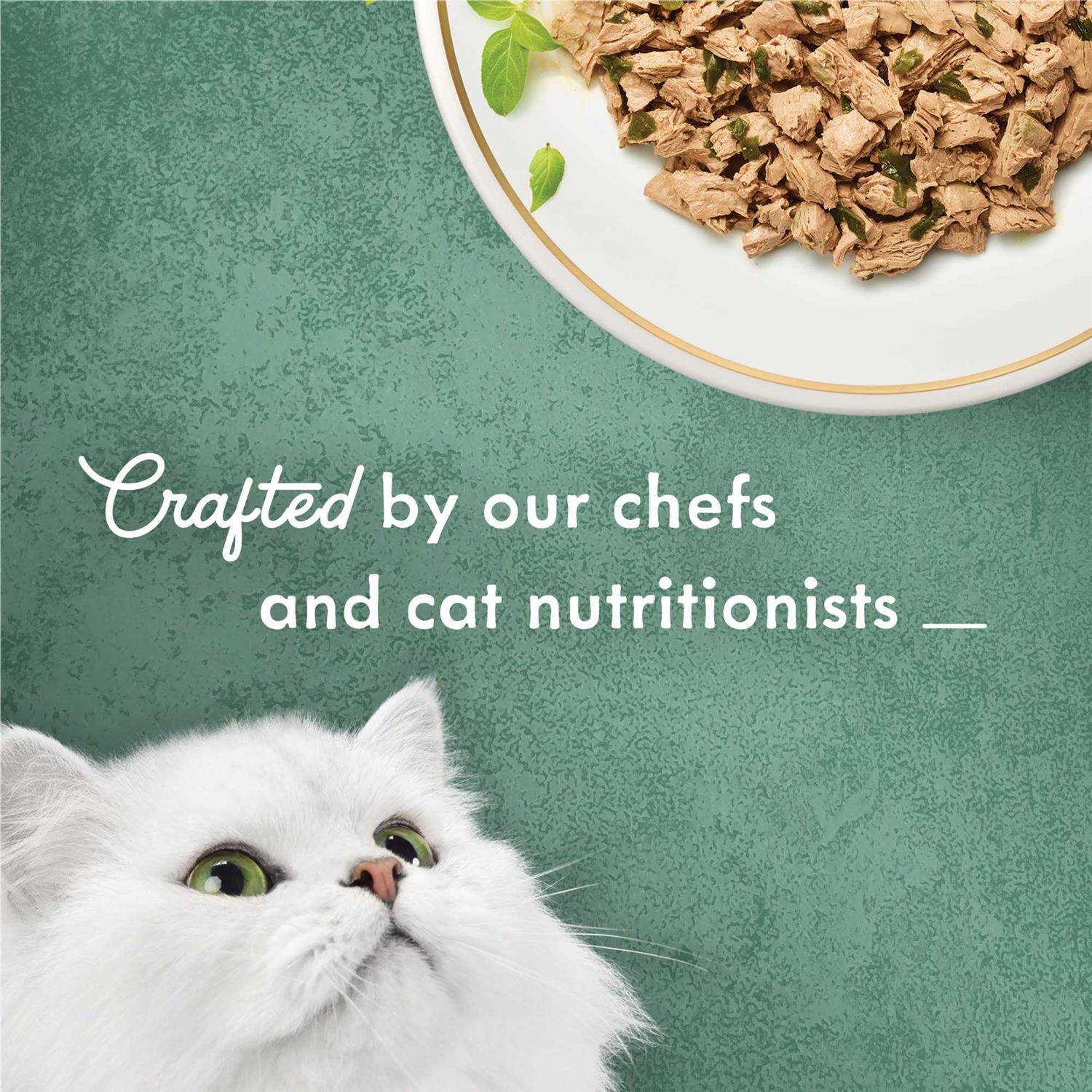 Fancy Feast Medleys Shredded Tuna Fare Wet Cat Food - Healthber