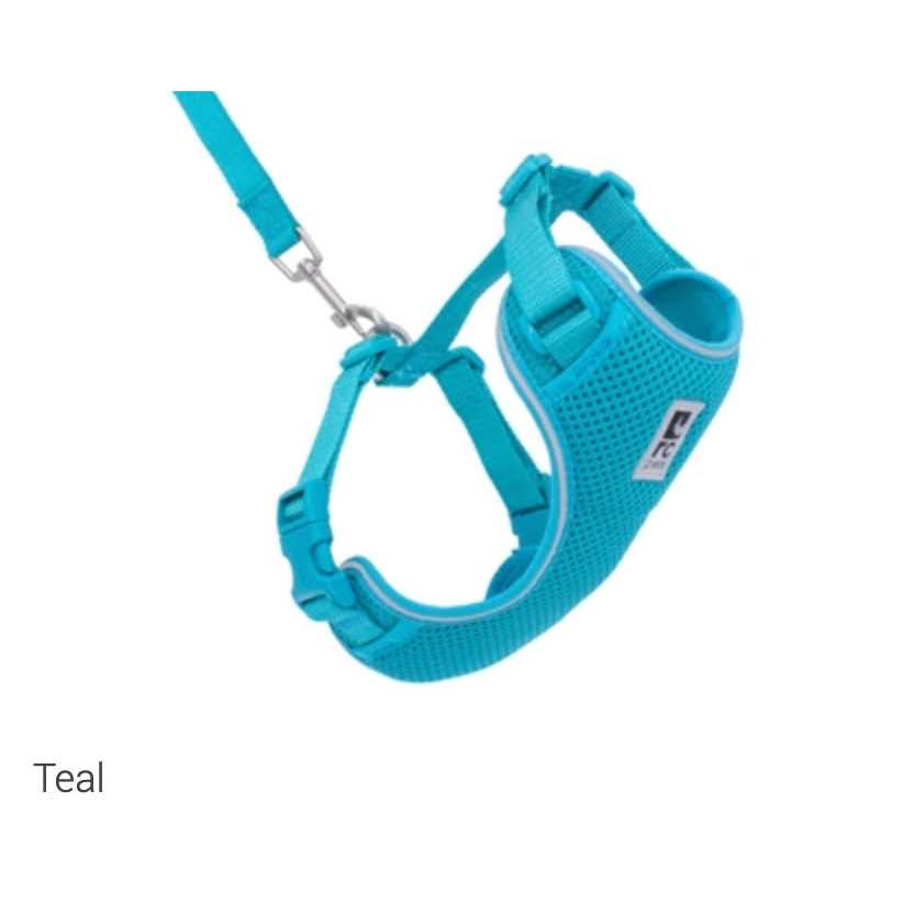 RC Pets Adventure Kitty Cat Harness - Healthber