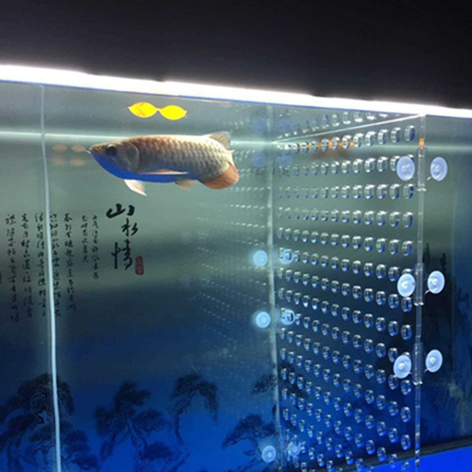 Tank Acrylic Divider Isolation Board with Suction Cups - Healthber