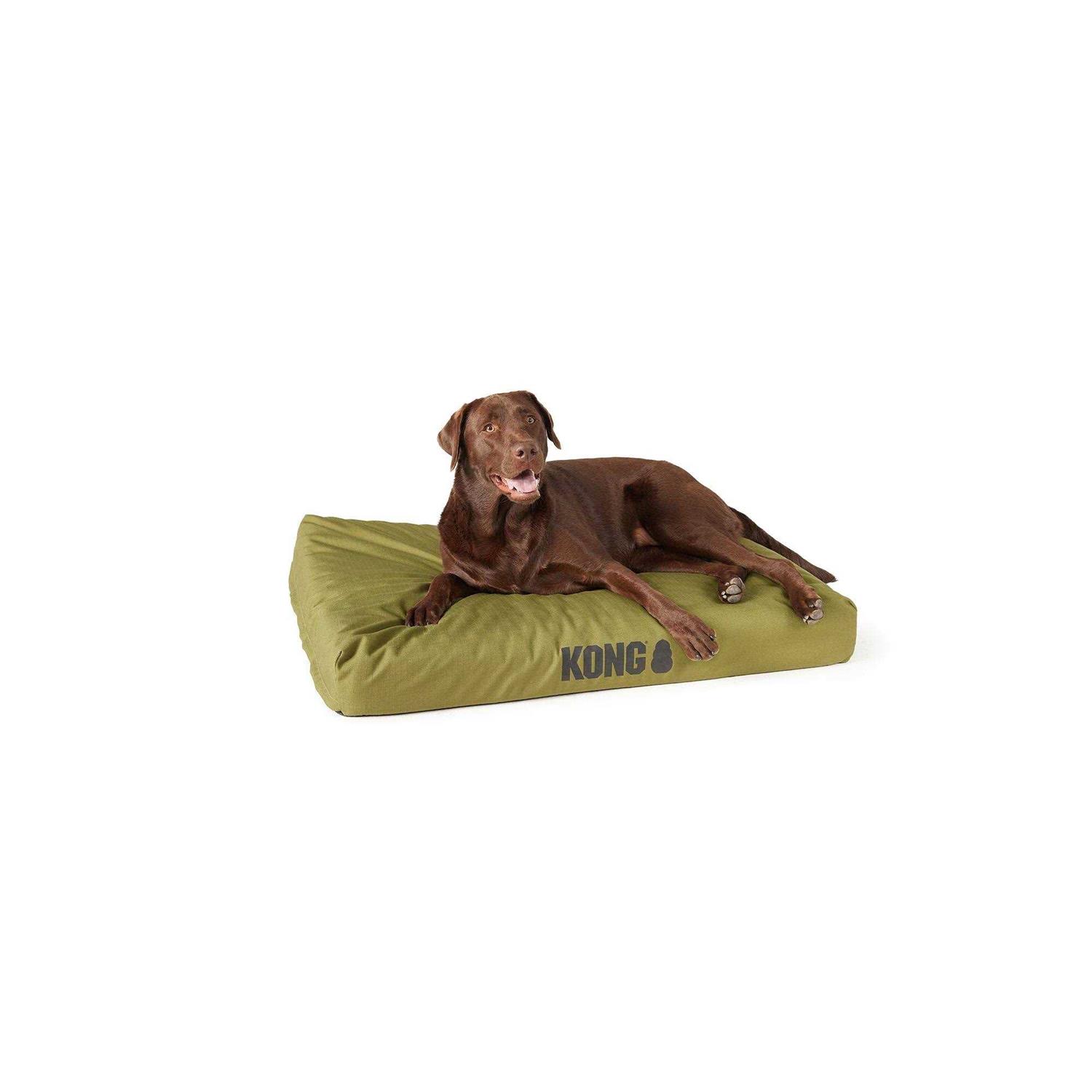 KONG Orthopedic Mat Dog Bed - Healthber
