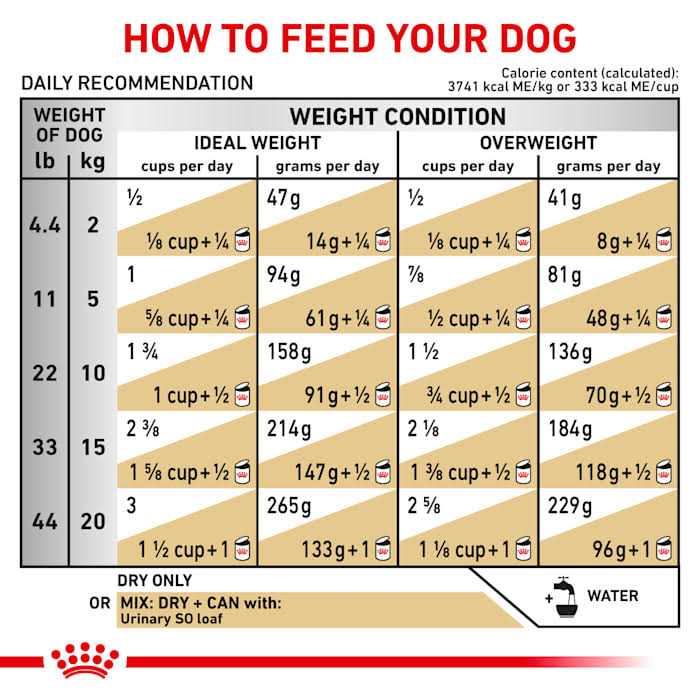Royal Canin Veterinary Diet Canine Urinary So Dry Dog Food - Healthber