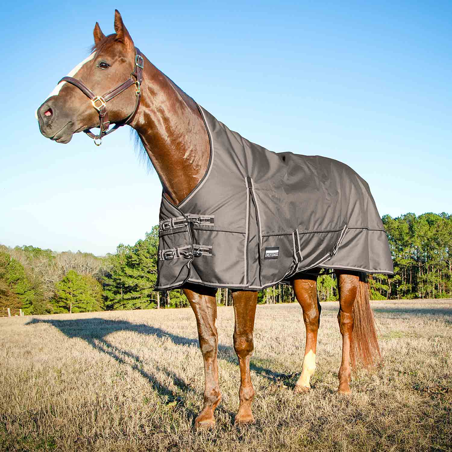 Poplar Head Defense 1680 Denier Turnout Blanket with High Neck, 240 Gram, Plymouth Brown - Healthber