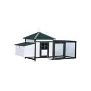 PawHut Wooden Chicken Coop Hen House & Rabbit Hutch, White/Green - Healthber
