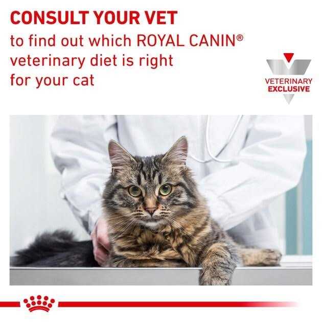Royal Canin Veterinary Diet Feline Calm Dry Food - Healthber