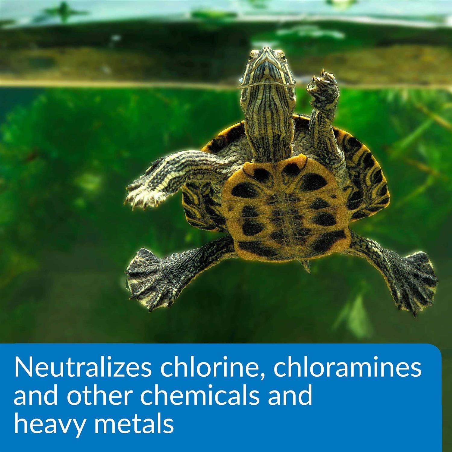 API Turtle Water Conditioner - Healthber