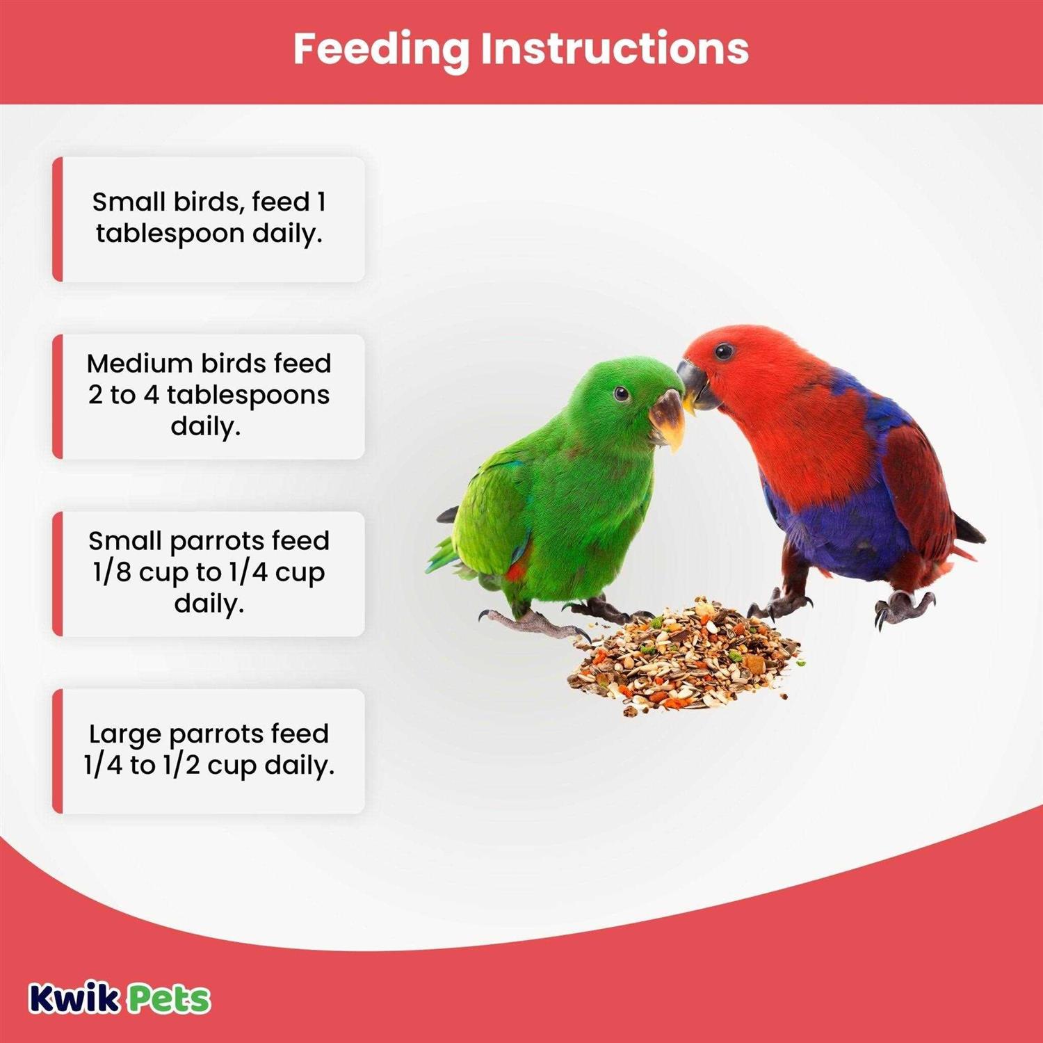 Volkman Avian Science Super Eclectus-4lb - Healthber