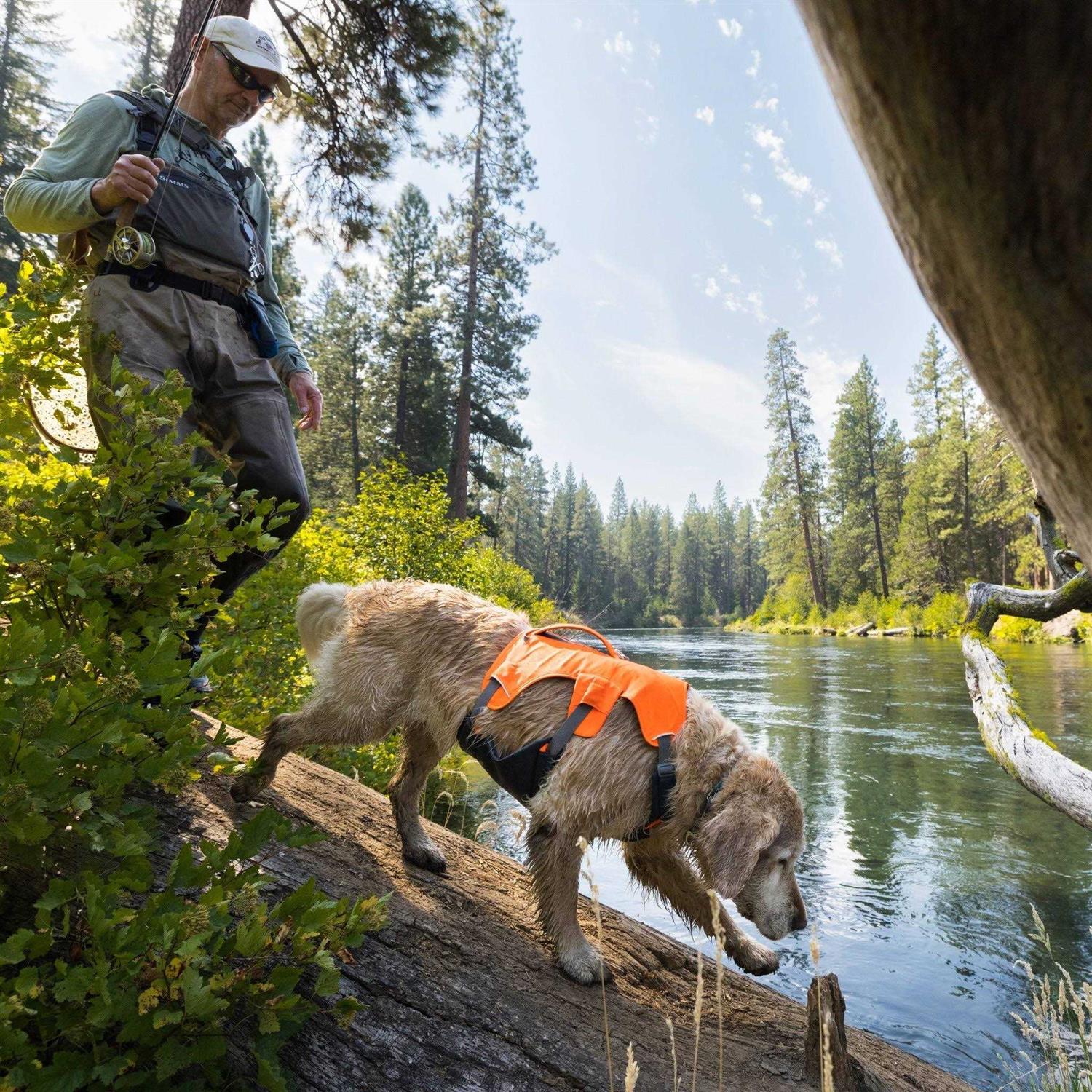 Ruffwear Harness Web Master - Healthber