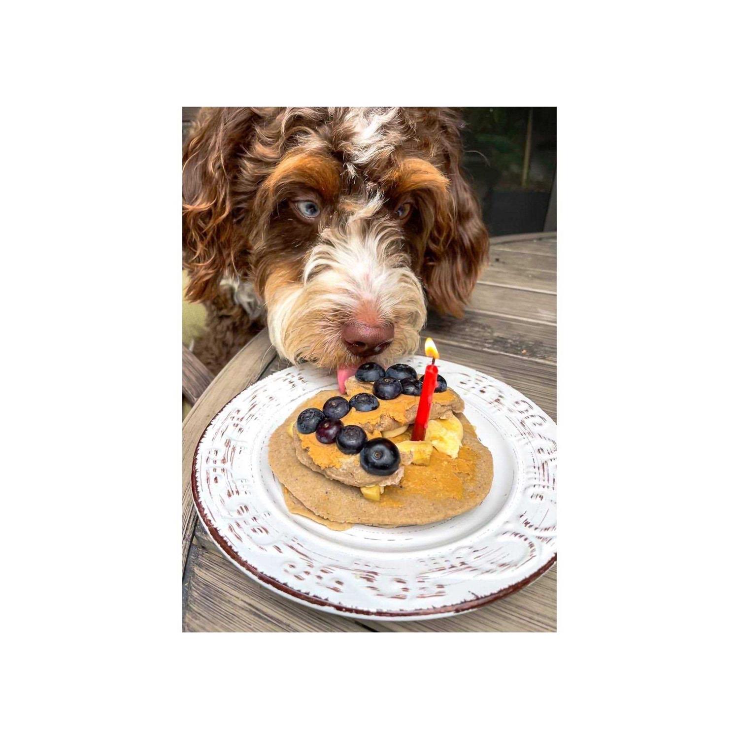Bark Bistro Pooch Pancakes - Healthber