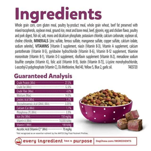 Purina Puppy Chow Tender Crunchy Real Beef Dry Puppy Food - Healthber