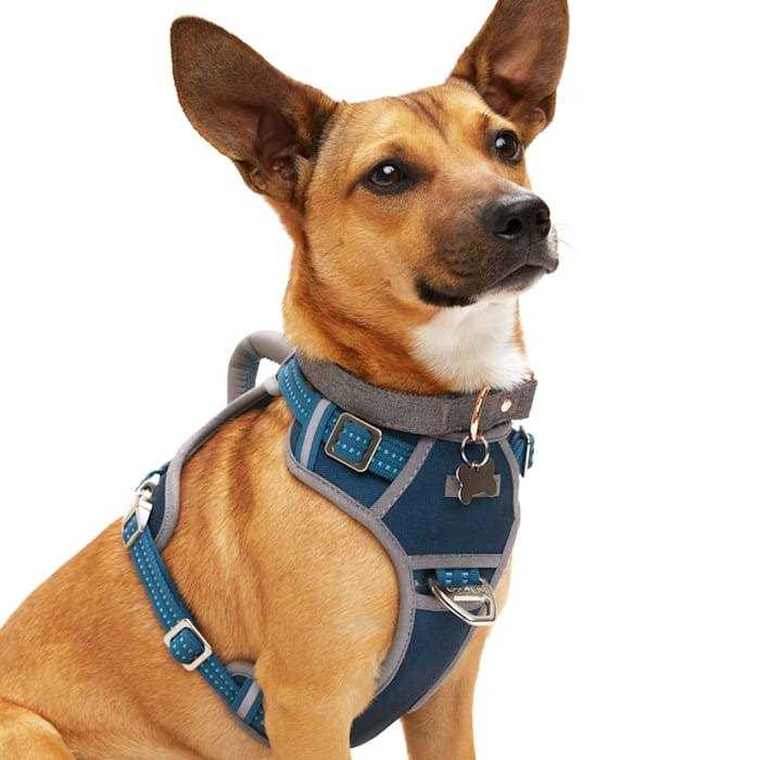 Reddy Navy Dog Harness - Healthber