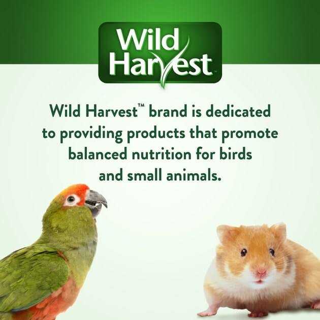 Wild Harvest Universal Blend Birds - Healthber
