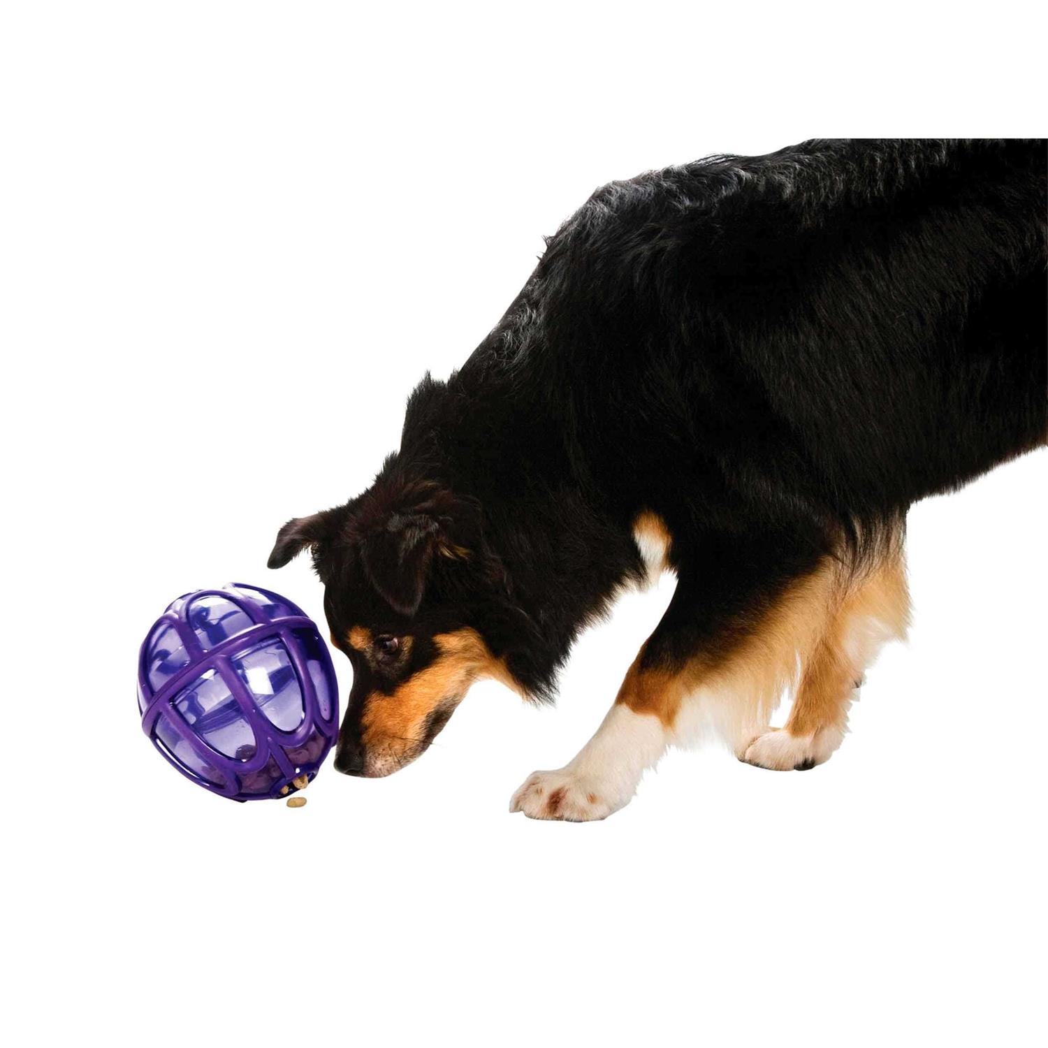 Busy Buddy Kibble Nibble Dog Toy - Healthber