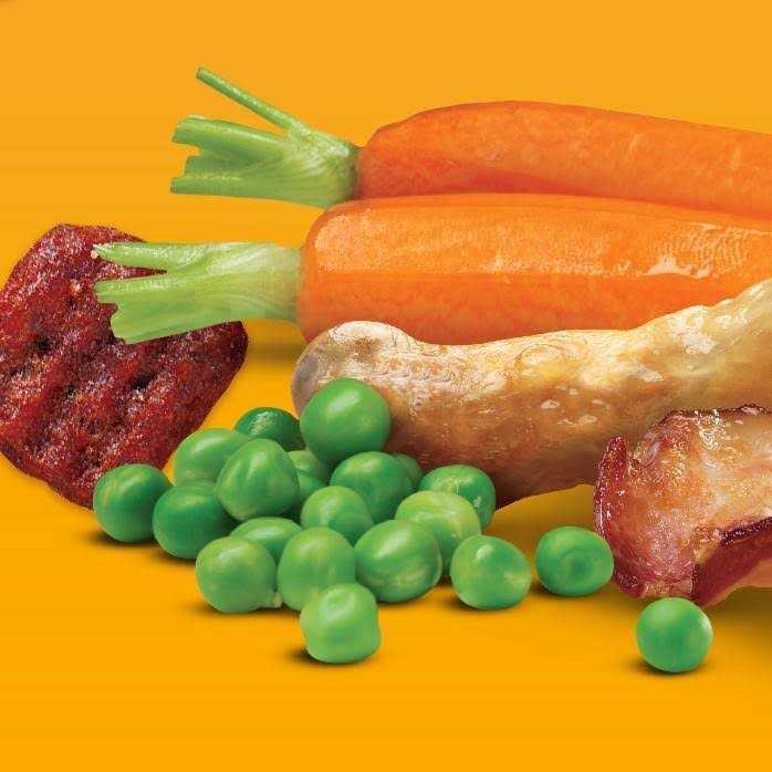 Pedigree with Bacon Flavored Bites Chicken Adult Dry Dog Food - Healthber