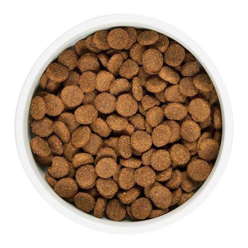 WholeHearted Grain Free All Life Stages Lamb and Lentil Formula Dry Dog Food - Healthber