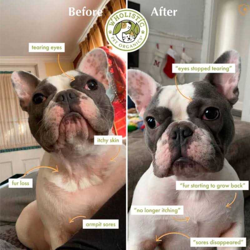 Wholistic Pet Organics Colostrum Powder - Healthber