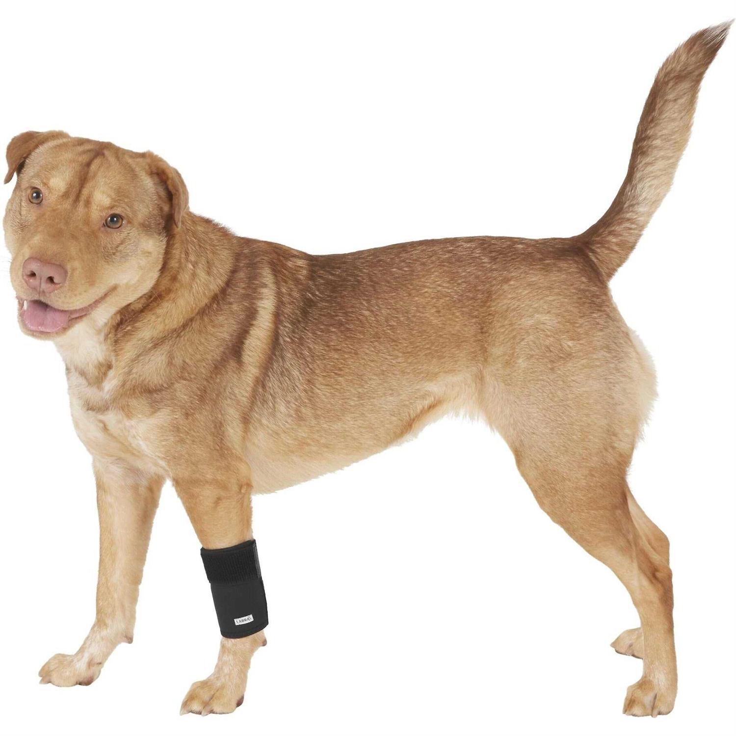 Labra Co. Dog Canine Front Leg Compression Brace Wrap Sleeve Protects Wounds Brace Heals and Prevents Injuries and Sprains Helps with Loss of - Healthber