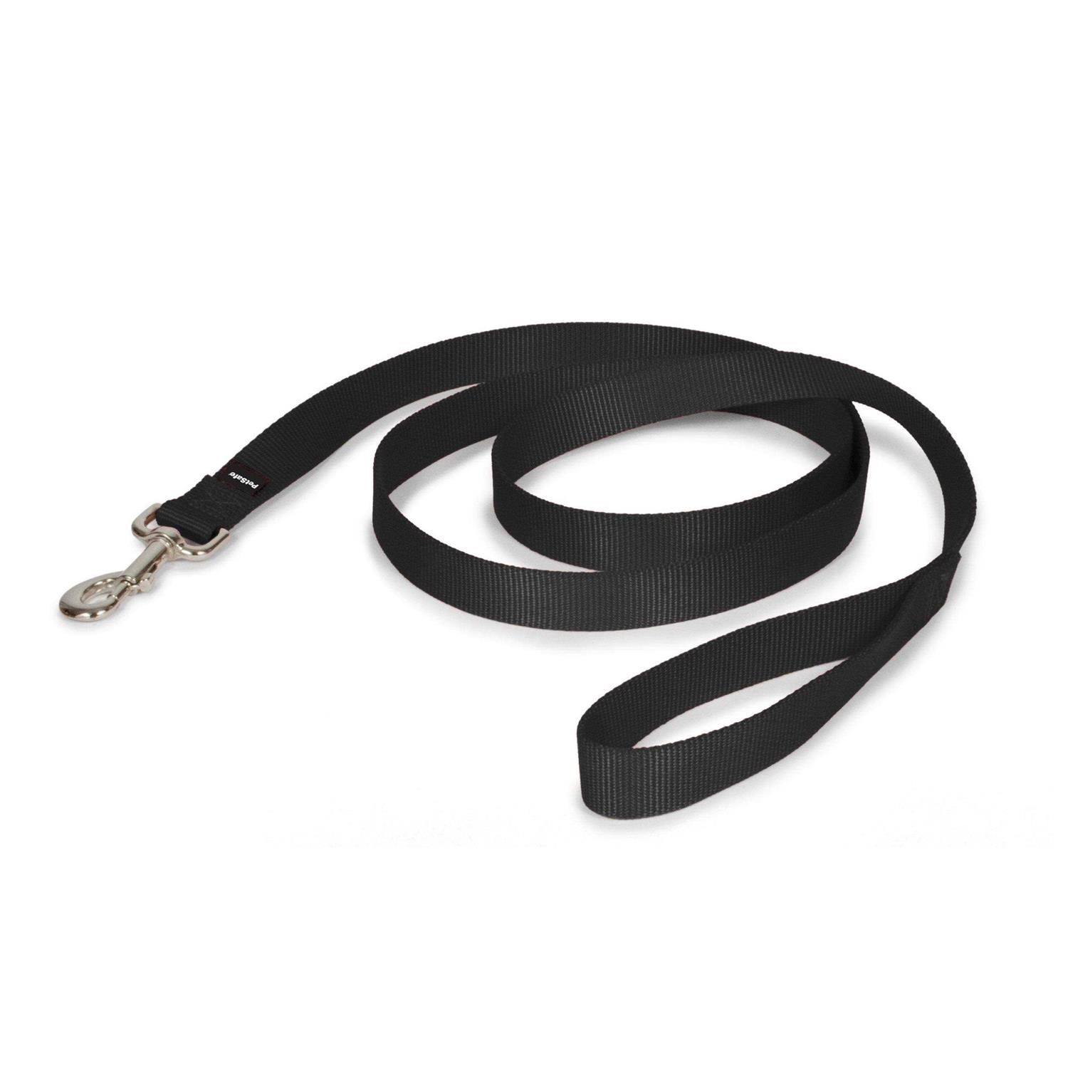 PetSafe Nylon Dog Leash - Healthber
