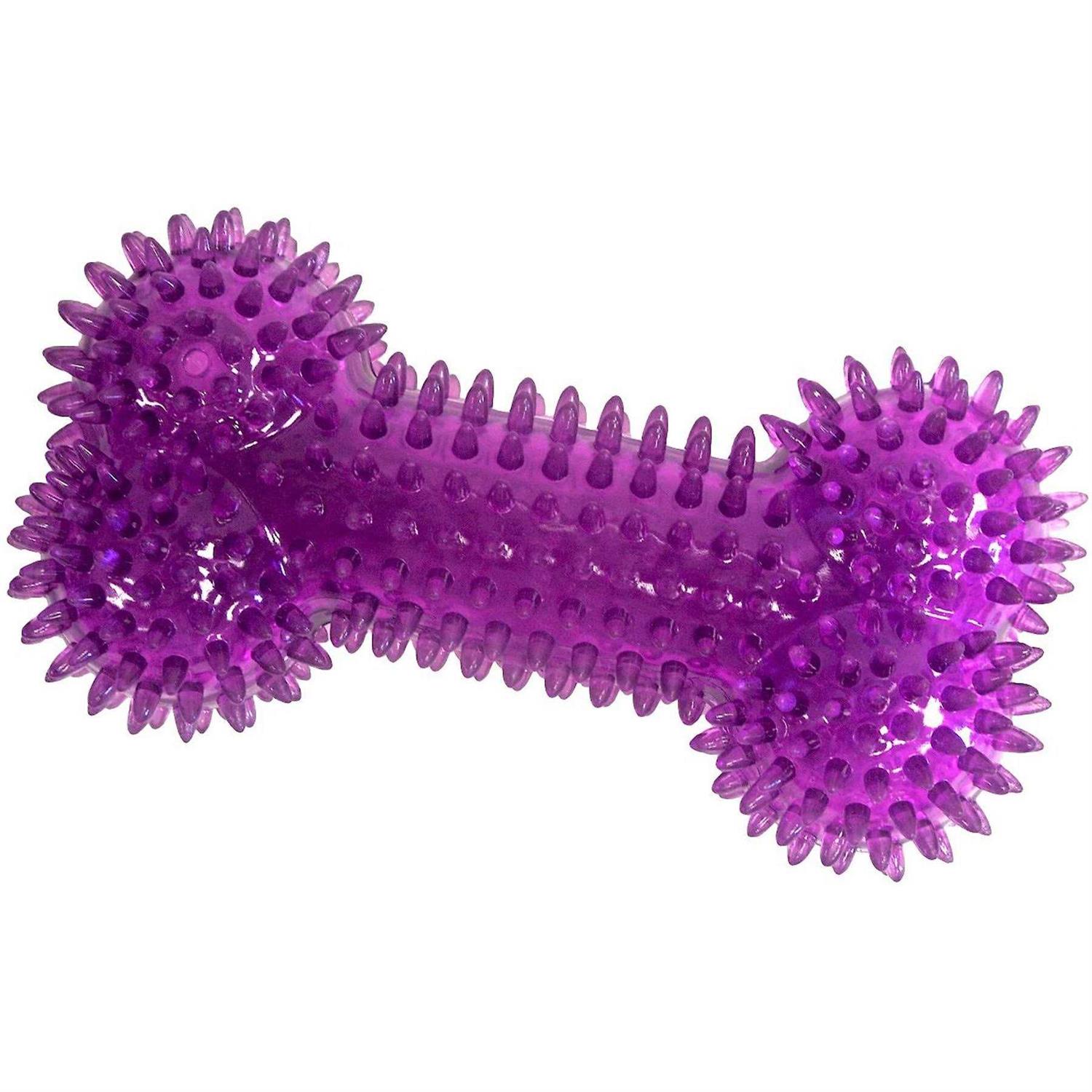 Gnawsome Squeaker Bone Dog Toy - Healthber