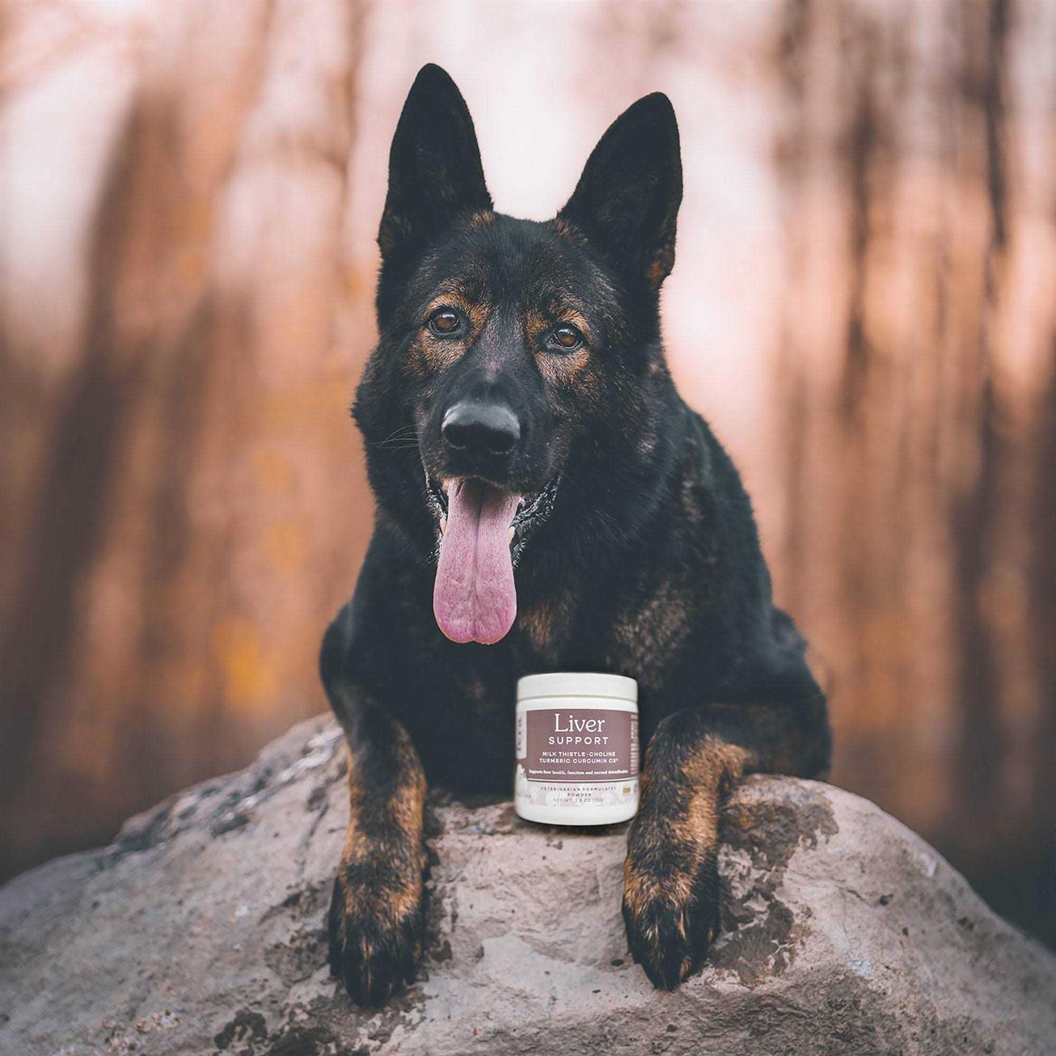 Fera Pet Organics Liver Support for Dogs & Cats - Healthber