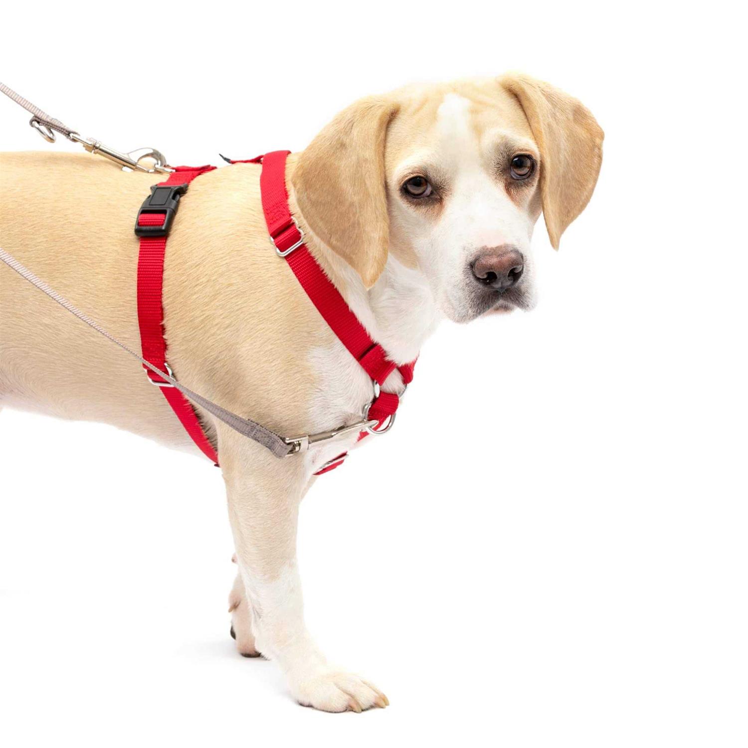 PetSafe Sure-Fit Harness - Healthber