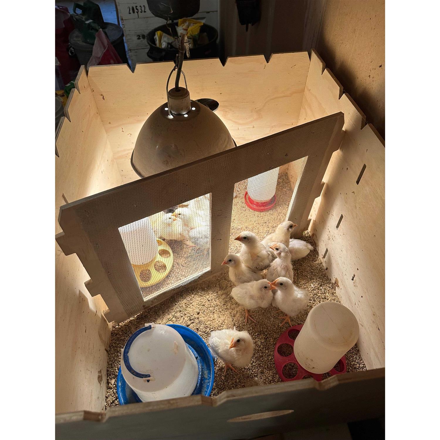 Harvest Lane Farms Chick Brooder Box - Healthber