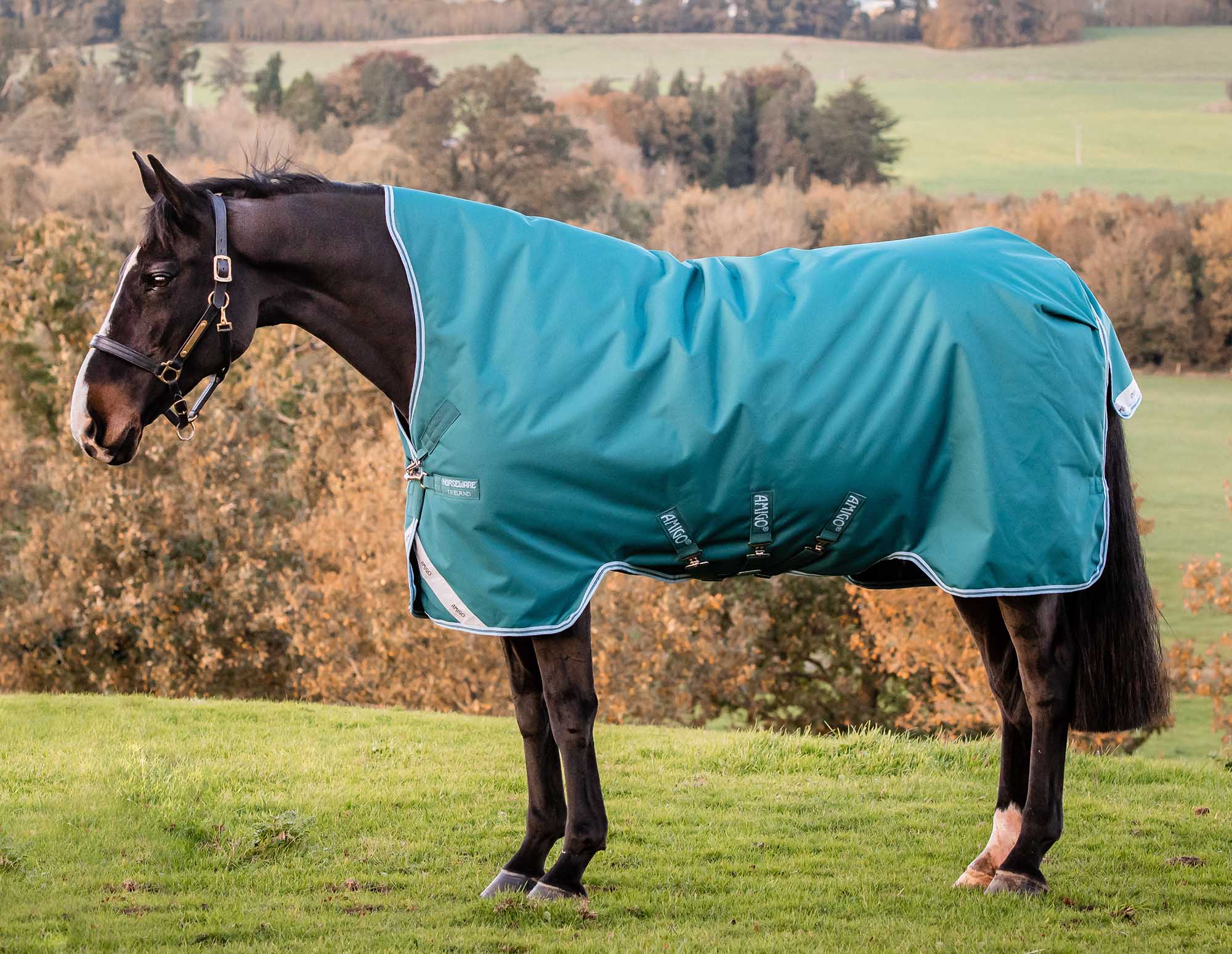 Amigo Bravo 12 Wug, 1200D, Lite, Storm Green - Healthber
