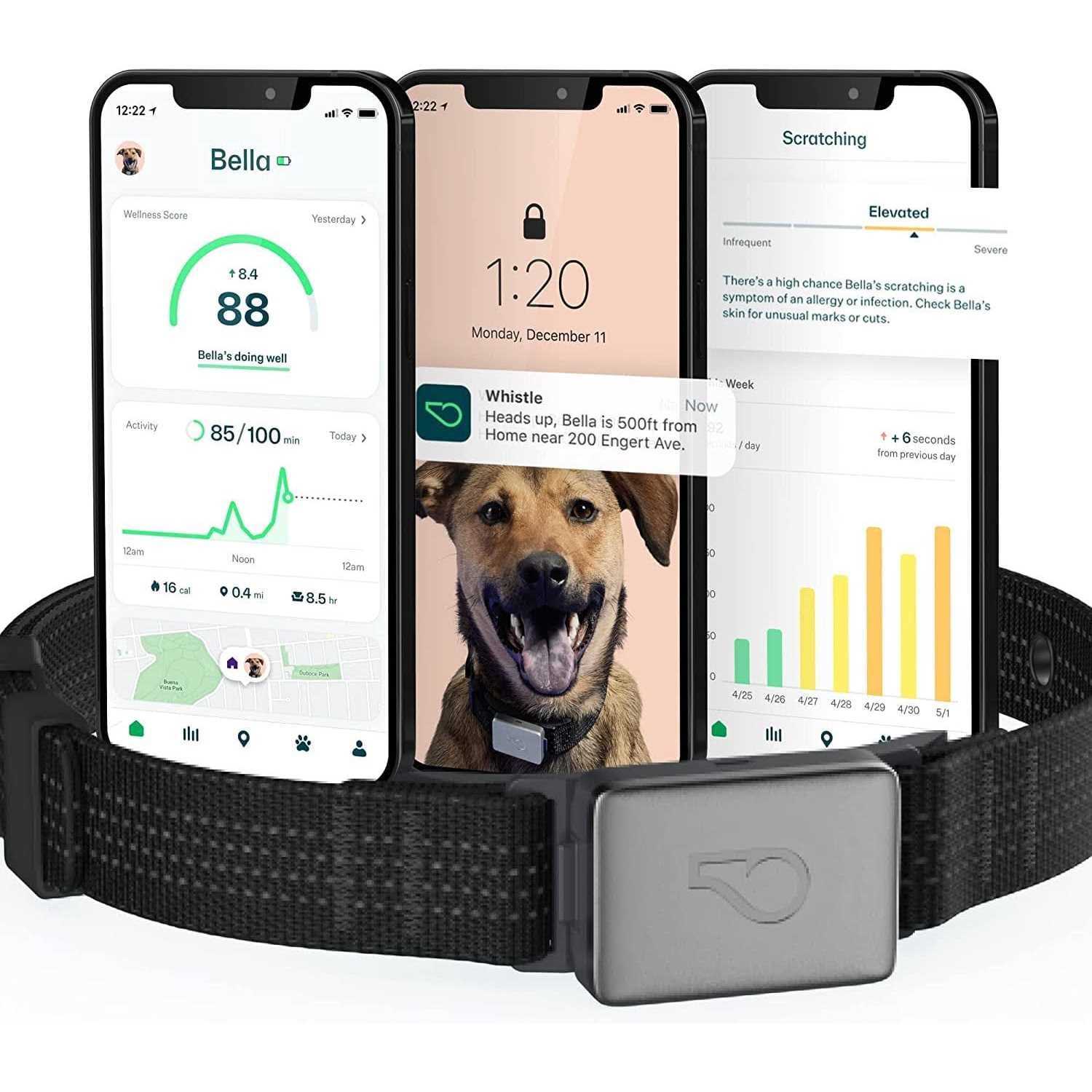 Whistle Switch Smart Collar Kit GPS location Health & Fitness - Healthber