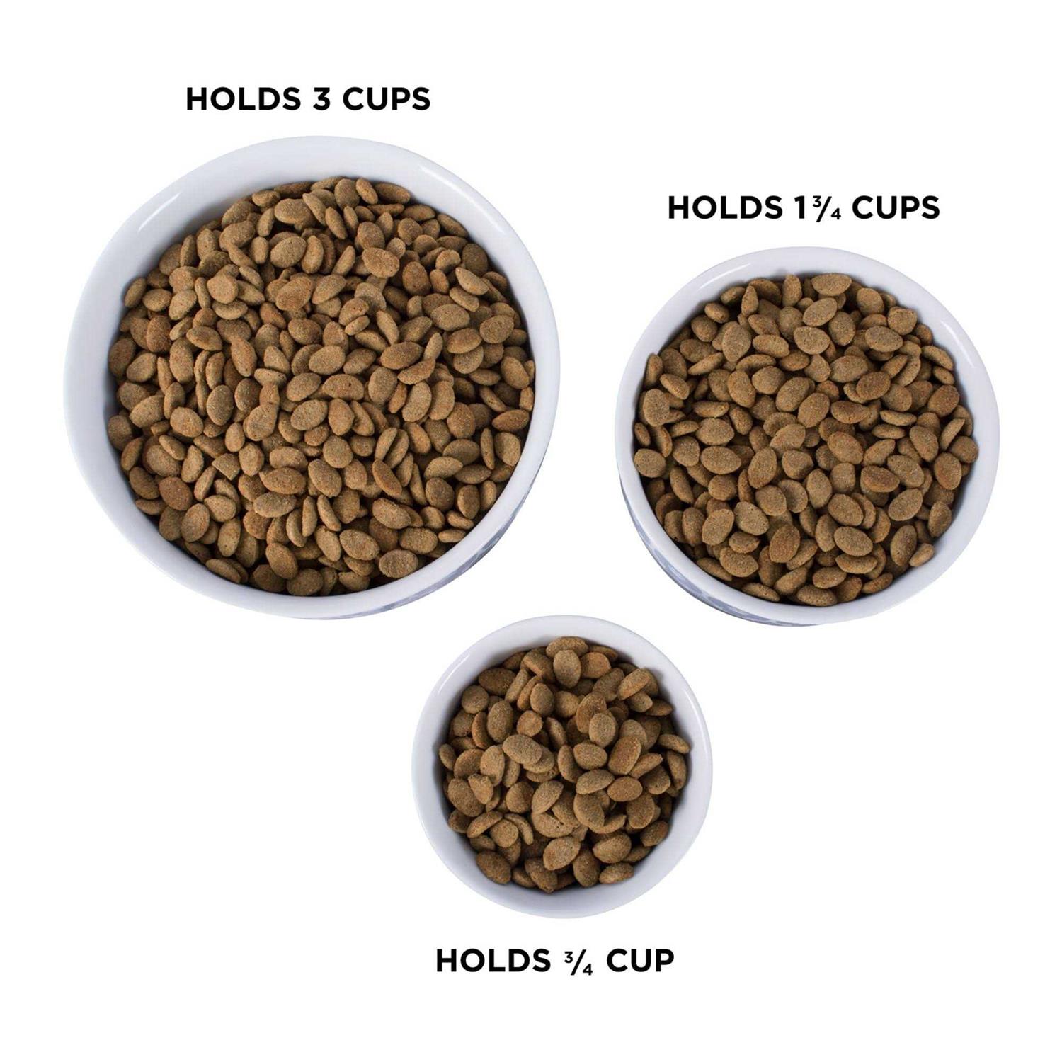 Bone Dry Paw Patch Pet Bowl - Healthber