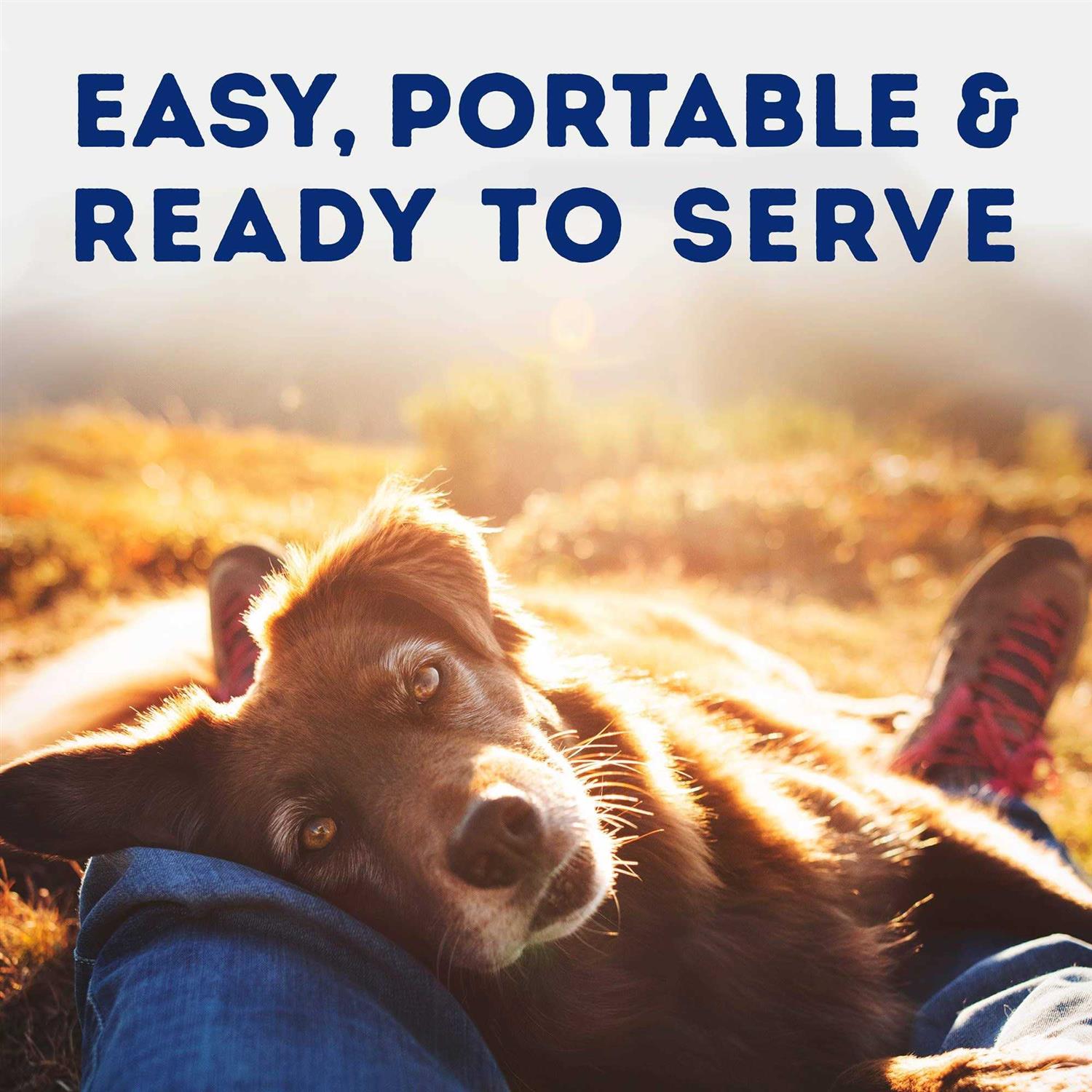 Natural Balance Platefulls Tender Beef & Potato Recipe Wet Dog Food - Healthber