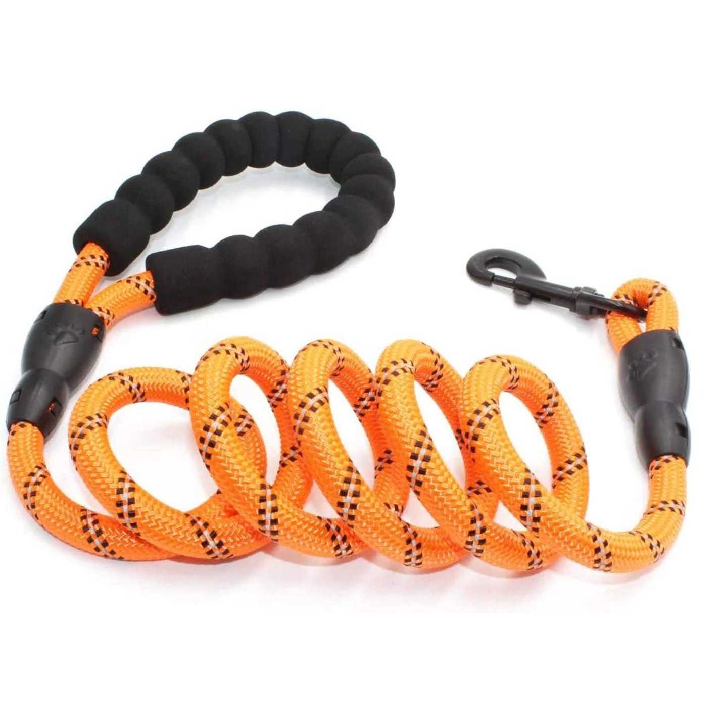 Doggy Tales Braided Dog Leash - Healthber