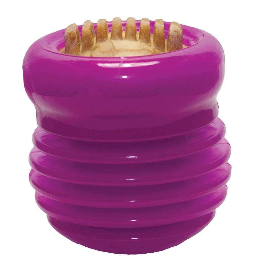 Starmark Everlasting Treat Groovy Ball - Healthber