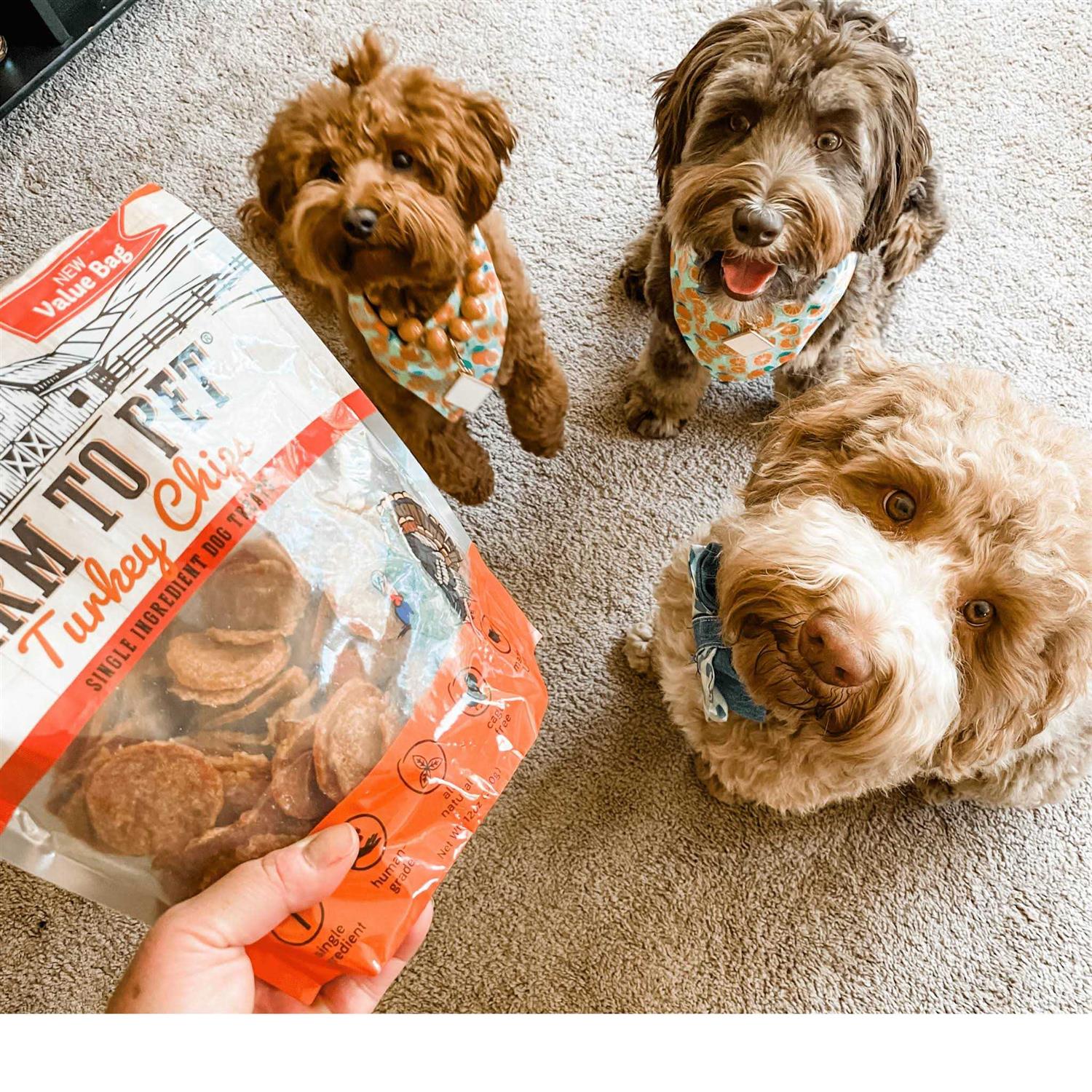 Farm to Pet Turkey Chips Dog Treats - Healthber