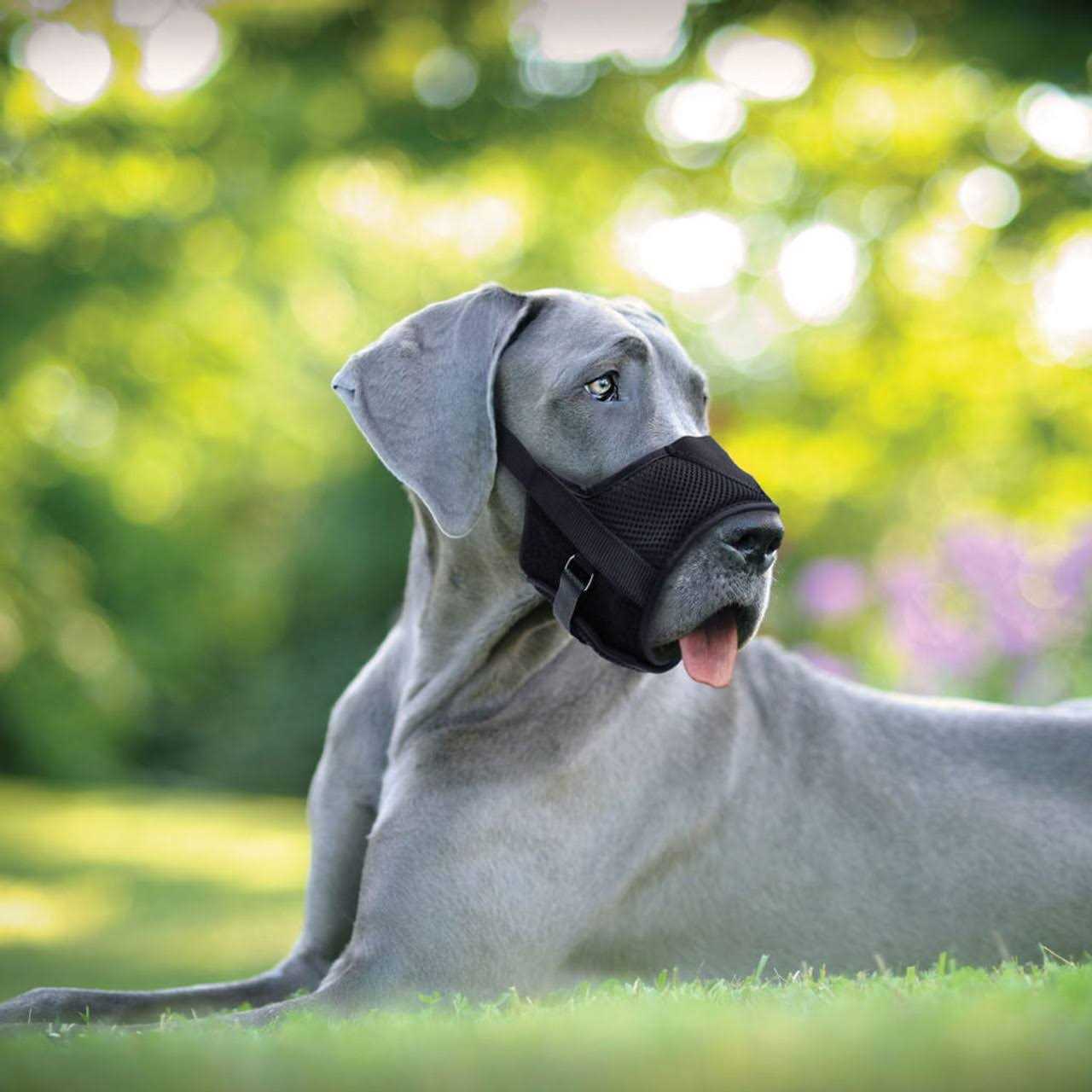 Coastal Pet Products Best Fit Adjustable Comfort Dog Muzzle-Black - Healthber