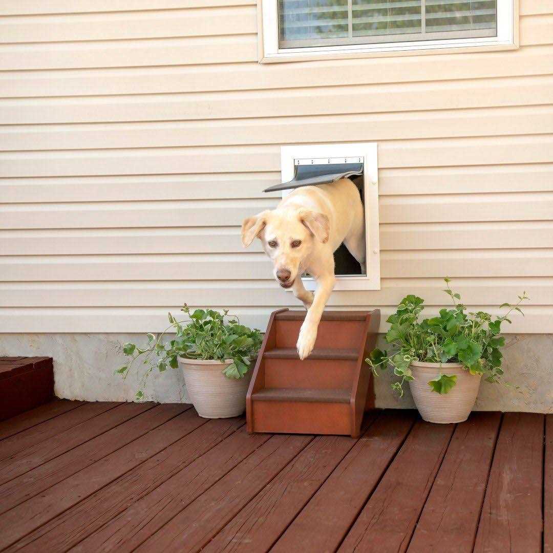 PetSafe Wall Entry Pet Door - Healthber