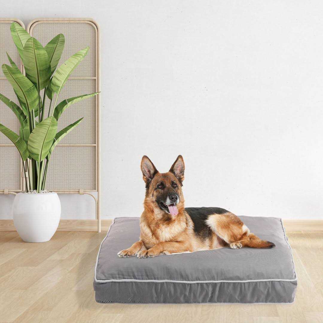 Rae Dunn Orthopedic Pet Bed - Healthber