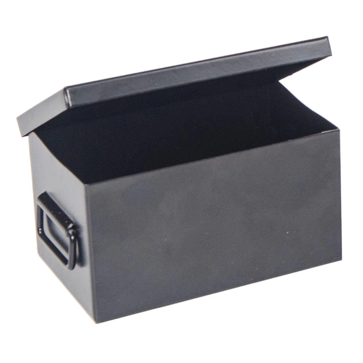 Little Buster Livestock Show Box, Black - Healthber