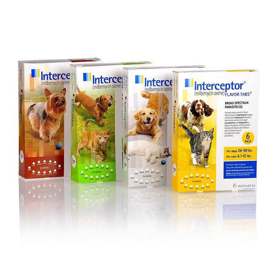 Interceptor Dogs 12 Month Supply - Healthber
