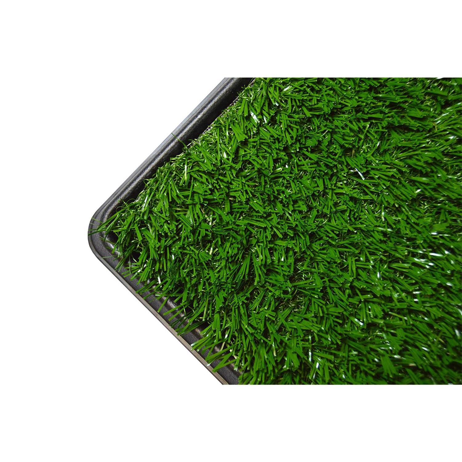Downtown Pet Supply Dog Grass Pad with Tray, 20 x - Healthber