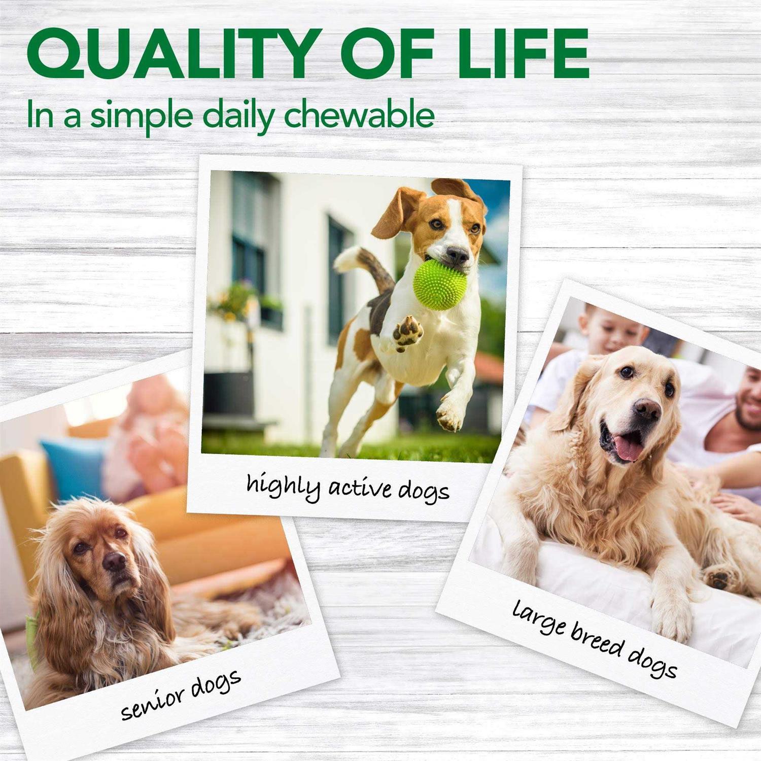 Vets Best Aches + Pains Dog Supplement for Dog - Healthber