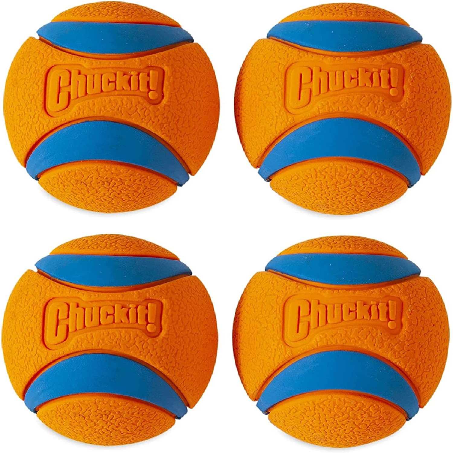 Chuckit! Canister Ultra Ball Dog Toy - Healthber