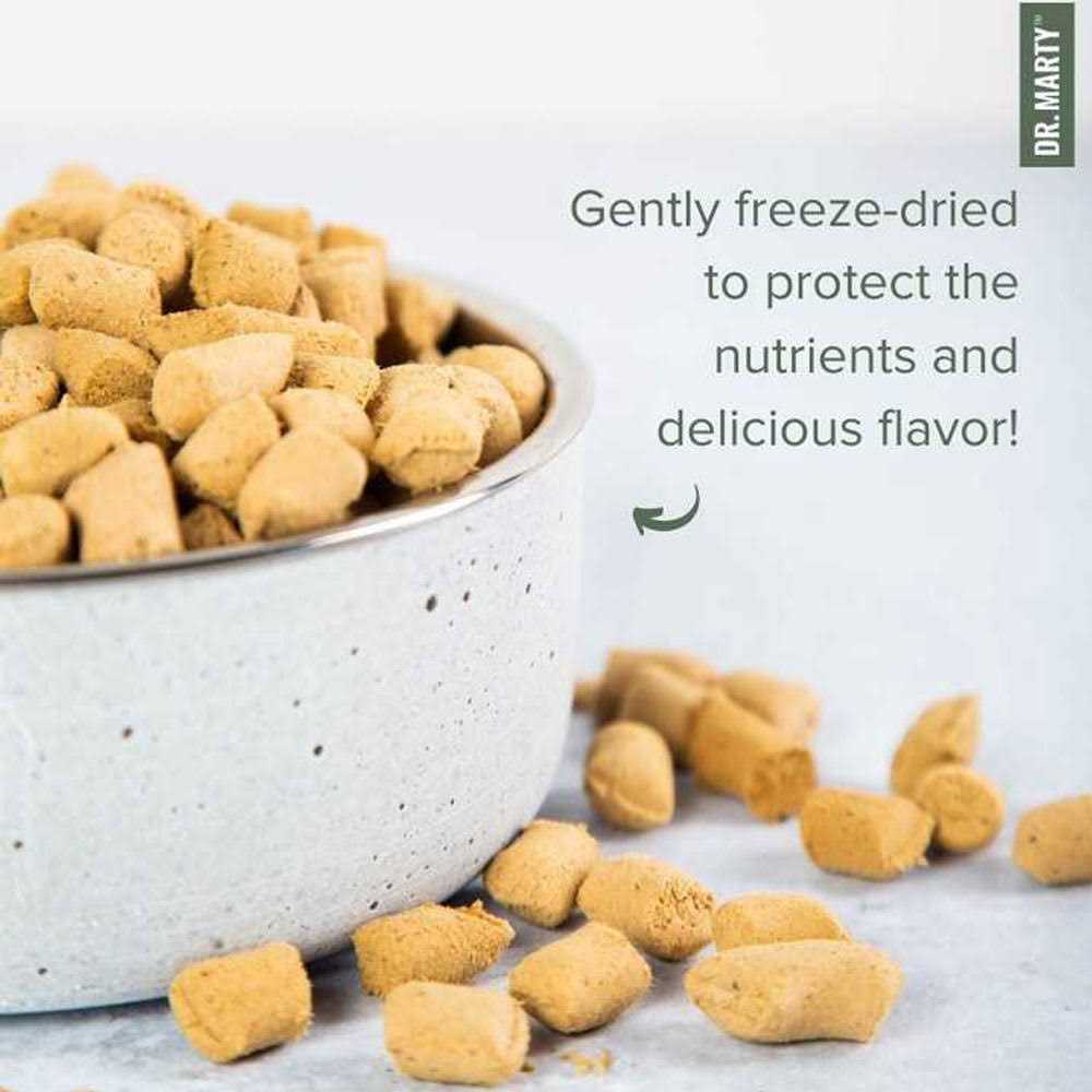 Dr. Marty Freeze Dried Raw Nature’s Blend Small Breed Dog Food - Healthber